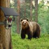 4G 4K 30FPS Solar Trail Camera Outdoor Wildlife Camera Motion Activated IP66 Waterproof with 140ºViewing Angle No Glow Night Vision SIM Card APP Contr