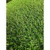 Artificial Grass Turf - 6FTx10FT, 0.8" Fake Grass Astro Turf for Dogs & Patio, Indoor/Outdoor Carpet